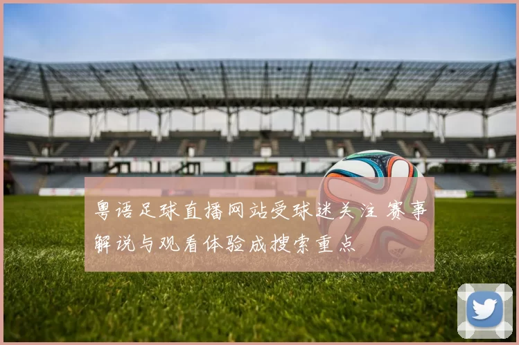 粤语足球直播网站受球迷关注 赛事解说与观看体验成搜索重点