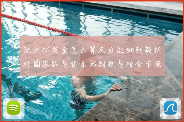 欧洲杯奖金怎么算及分配细则解析对国家队与俱乐部财政与转会市场影响