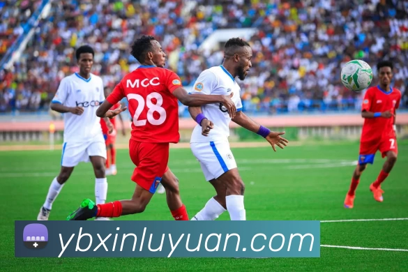 彩合网 - 行业领导者服务体系