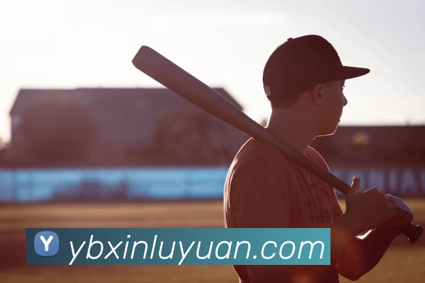 leyu乐鱼网页服务体系