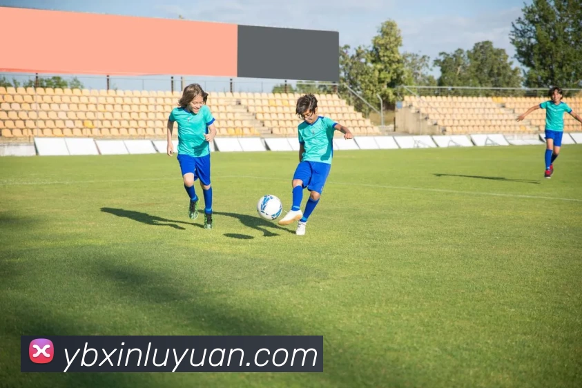 多媒体互动体验