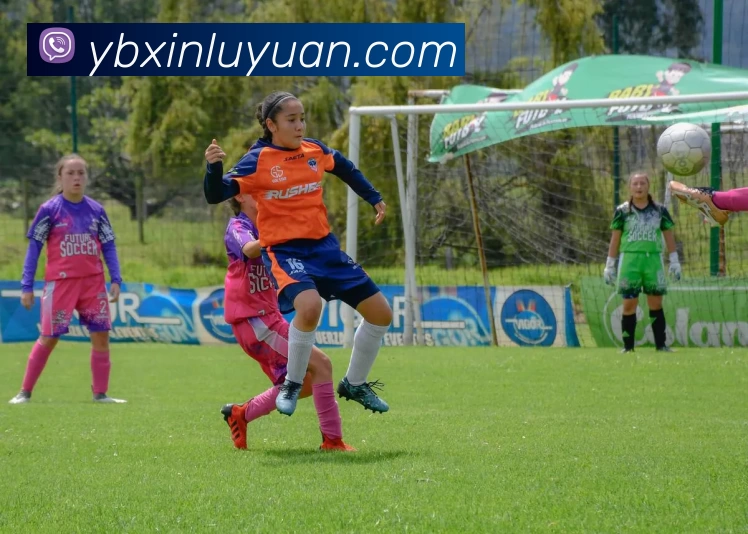 彩合网 - 行业领导者APP 体育赛事宣传图